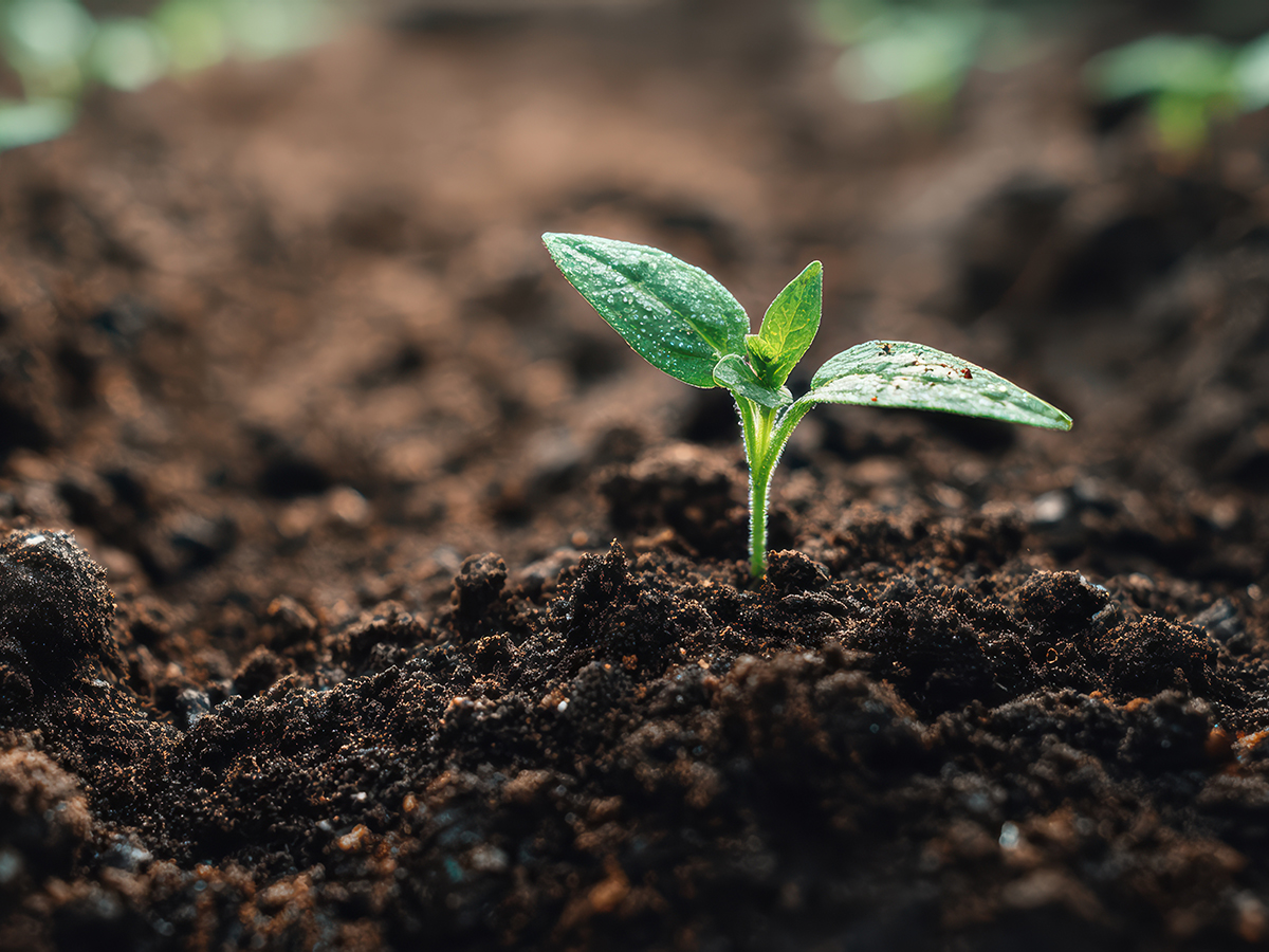 životné prostredie